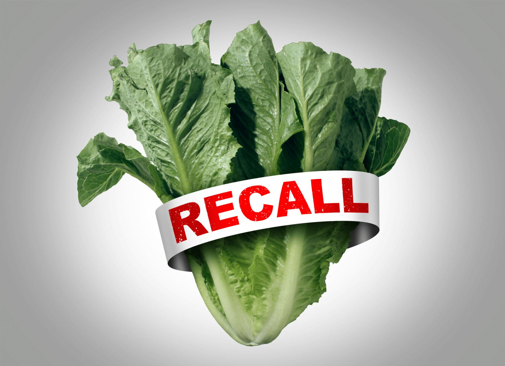 The Importance of Food Recall Safeguarding Consumer Health and Trust